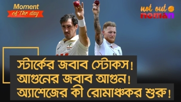 স্টার্কের জবাব স্টোকস! আগুনের জবাব আগুন! অ্যাশেজের কী রোমাঞ্চকর শুরু!